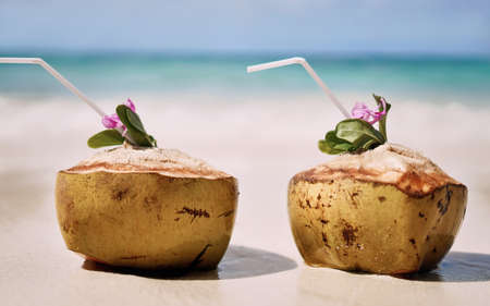 Summer keeps the romance alive. Still life shot of two coconuts placed alongside each other on a beach in Raja Ampat, Indonesia.の写真素材