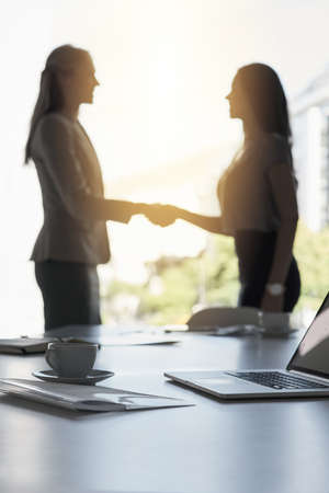 Lets work together. Defocused shot of two businesswomen shaking hands in an office.