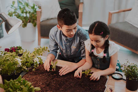 Theyre both curious about the growth of plants. Cropped shot of two adorable young siblings experimenting with plants indoors at home.の写真素材