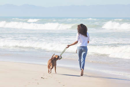 Sandy paws, happy hearts. Shot of a woman playing with her pit bull at the beach.