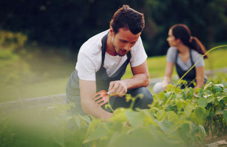 Goodness is green. Shot of a young man working in a garden with his wife in the background.の写真素材