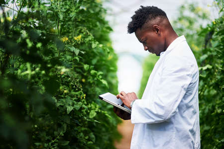 Quickly getting more info about this plant online. Shot of a handsome young botanist using a digital...