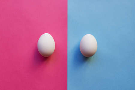 We have a boy and a girl. Studio shot of two eggs placed on two different colored backgrounds next to each other.の写真素材