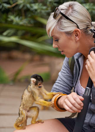 Getting in touch with nature. Cropped shot of a young woman interacting with a little monkey at a...
