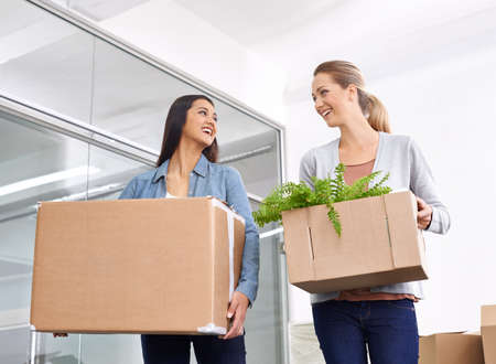 I think having plants in the office was a great idea. Two female entrepreneurs moving into a new...