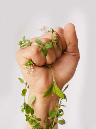 Nature needs your help. Cropped shot of an unidentifiable womans hand clenching flowers in a fist in studio.の写真素材