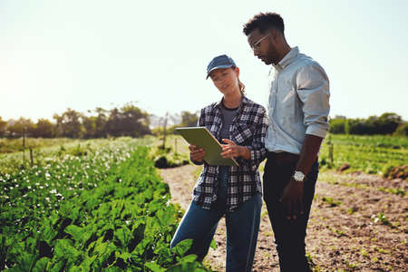 Just take a look at these growth figures. Cropped shot of two young farmers looking at a tablet...