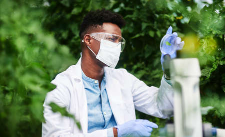Just taking a closer look at things. Shot of a young botanist using a magnifying glass to look at a plant outdoors.の写真素材