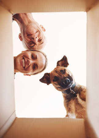 Its whats inside that counts. Low angle portrait of a happy couple and their dog looking into a box together.の写真素材