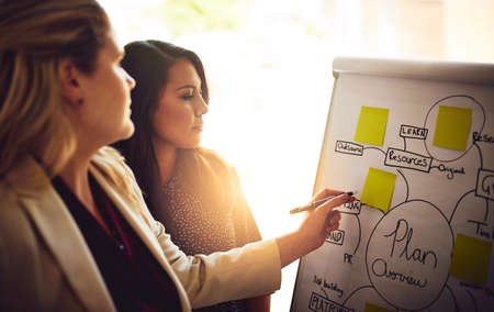 Laying out their plan of action. Shot of two young colleagues brainstorming with mindmaps in the...