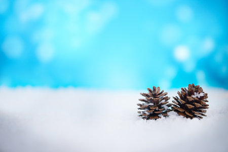 Wishing you a beautiful Christmas. Pine cones lying on some snow.の写真素材