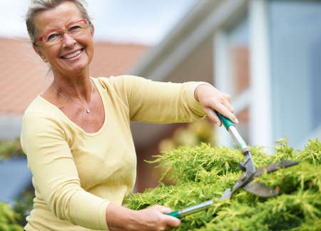Keeping her garden in great condition. A happy senior woman trimming the hedges in her garden with shears.の写真素材