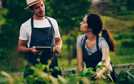 Teamwork makes growth work. Shot of a young couple using a digital tablet together while working in a garden.の写真素材