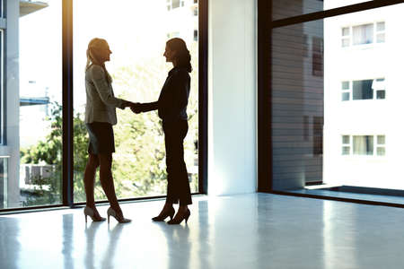 Lets get started and make some great things happen together. Shot of two businesspeople shaking...