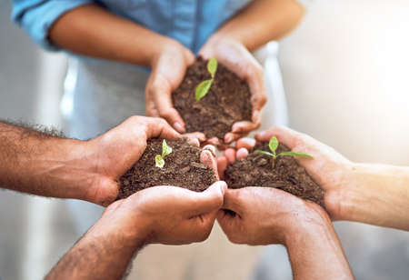 Nurture the talents of your team. Closeup shot of a group of people holding plants growing in soil.の写真素材