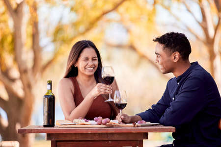 We go together like these fries go with this burger. Shot of a young couple having wine on a date on a wine farm.の写真素材