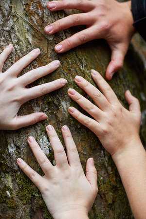 Feeling life beneath their fingers. Shot of a group of unidentifiable friends putting their hands on a tree trunk.の写真素材