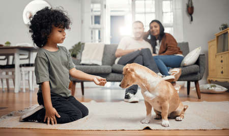 Its a treat for a trick. Shot of a little boy bonding with his dog while his parents sit in the...