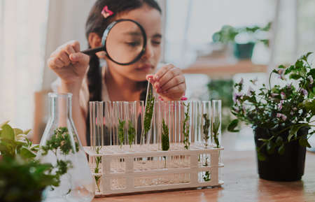 Shes got good analysis skills. Cropped shot of an adorable little girl looking through a magnifying glass while analysing plants from a test tube at home.の写真素材
