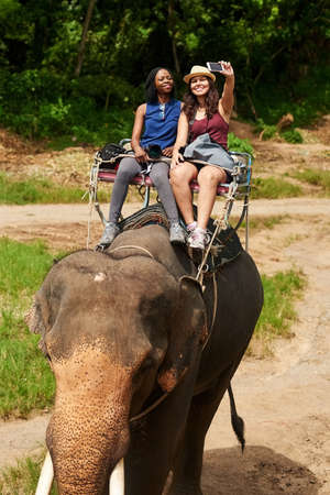 Weve got to capture this once in a lifetime opportunity. Cropped shot of young tourists taking a selfie while on an elephant ride through a tropical rainforest.の写真素材
