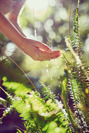 As pure as Mother Nature intended. Cropped shot of a woman washing her hands outdoors.の写真素材