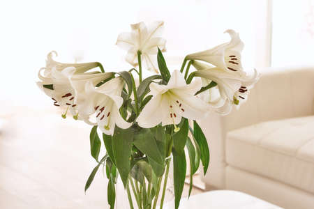 White lily flower. The beautiful white lily flower.の写真素材