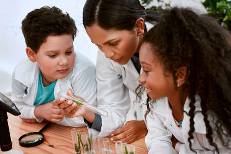 Learning is fuelled by curiosity. Shot of an adorable little boy and girl learning about plants with their teacher at school.の写真素材