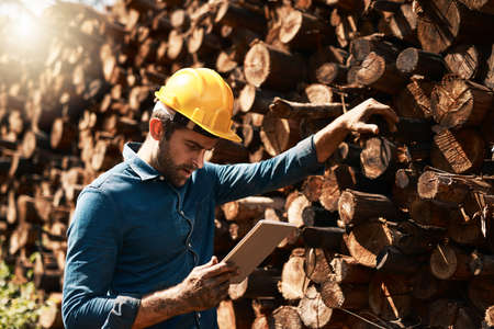 Tracking his lumber deliveries. Cropped shot of a lumberjack using his tablet while standing in front of a pile of wood.の写真素材