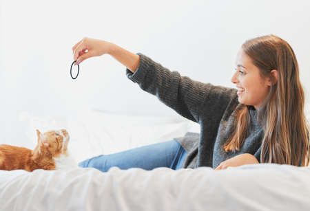 Hes about to pounce for it. Shot of a young woman playing with her cat at home.の写真素材