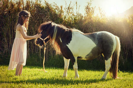 The best of friends. Shot of a cute little girl playing with her pony outside.の写真素材