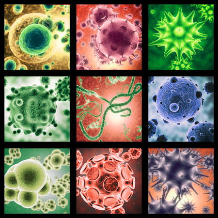 Is your immune system ready. A combined image of various micro organisms as seen under a microscope...