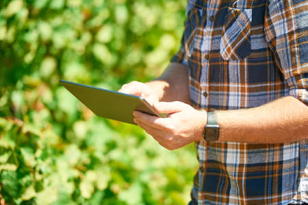 The digital revolution is changing the face of agriculture. Cropped shot of a farmer using a digital...