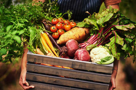 Freshly grown by nature. Cropped shot of an unrecognizable female farmer holding a crate full of fresh produce at her farm.の写真素材