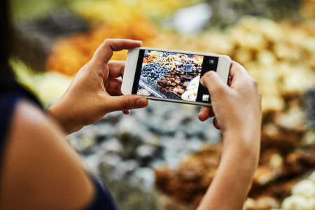 I must show my friends back home. Over the shoulder shot of an unrecognizable woman taking a photo of treats being sold at a market stall with her phone during the day.の写真素材