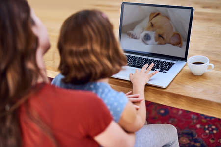 Look at the cute puppy Mom. Cropped shot of a mother and daughter using a laptop together at home.