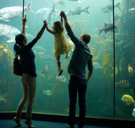 Shes focused on those fish. Cropped shot of a little girl on an outing to the aquarium.