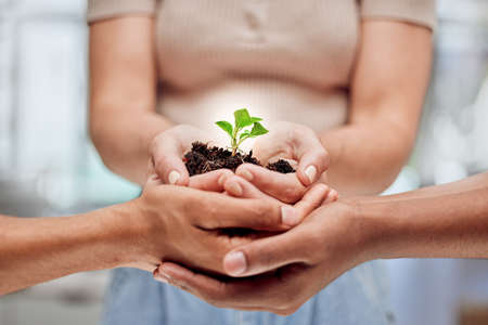 When you take care of things, they grow. Shot of a group of unrecognizable people holding plants...