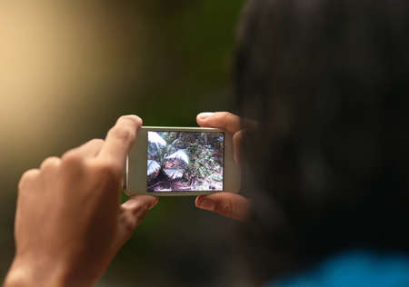 Technology meets nature. Rearview shot of an unidentifiable person taking a picture with a cellphone...