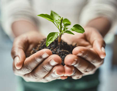 Heres to new beginnings. Cropped shot of an unrecognizable woman holding a plant growing out of soil.の写真素材