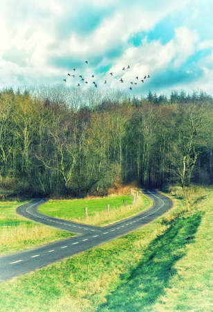 Youll only see where a road takes you once you get to its end. Shot of a road split in two with both...