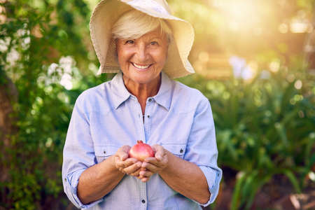 I think Ill make some pomegranate jam with this. Shot of a senior woman holding a freshly picked pomegranate in her backyard.の写真素材