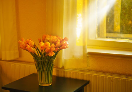 Gorgeous bouquet of fresh tulips flowers on a table in empty house. Fresh summer oranges flowers symbolising hope, love and growth. Bright flowers as a surprise gift or apology gestureの写真素材