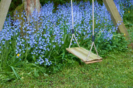 A wooden tree swing hanging with nylon rope and a background bush of vibrant bluebell flowers....