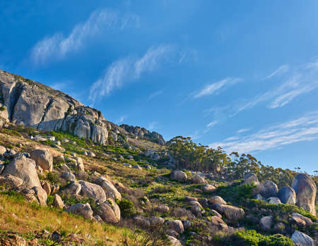 Panorama and landscape view of Lions Head mountain in Cape Town, South Africa during summer holiday and vacation. Blue sky, scenic hills, nature scenery of fresh green flora growing in remote areaの写真素材