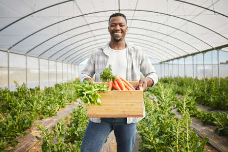 Homemade groceries. Cropped shot of a handsome young man working on his farm.の写真素材