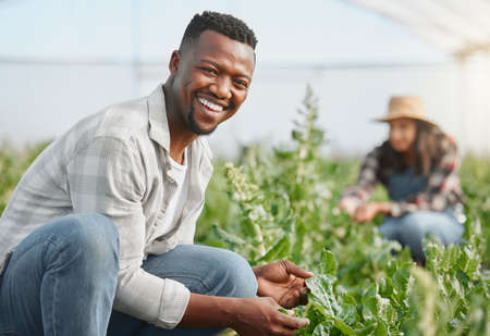 Portrait of a young man tending to crops on a farm.の写真素材