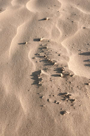Beach sand top view. Dunes and Sand beach texture background. background use for multipurpose shape...