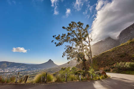 Copyspace and scenic landscape of a curved road and cloudy blue sky by Table Mountain in Cape Town, Western Cape. Bright sky, tree and quiet asphalt road in summer. Highway close to natureの写真素材