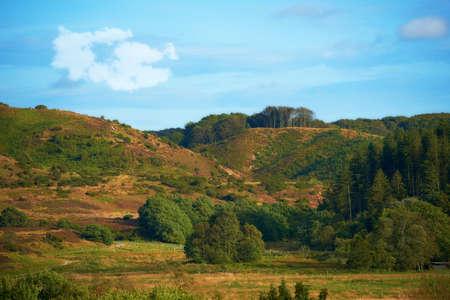 Hills with green grass, trees and plants on a cloudy summer day. Beautiful landscape and scenery of...