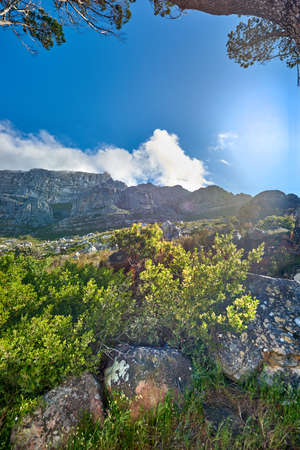 Copy space with landscape of Table Mountain in Cape Town against a cloudy blue sky background from below. Beautiful scenic views of plants and trees around an iconic natural landmark on a sunny dayの写真素材
